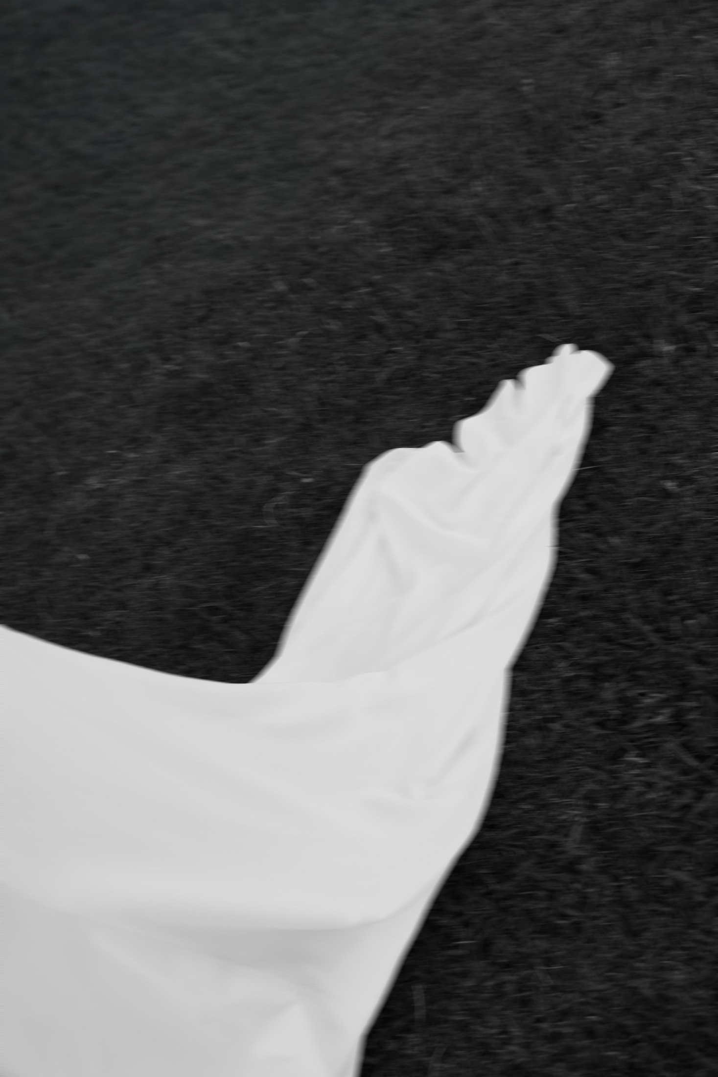 Movimiento de un vestido de novia en blanco y negro